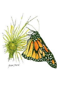 The Art of Gene Irvin - Art Prints