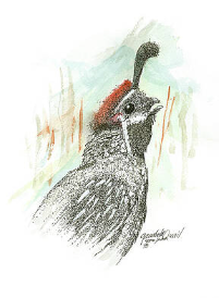 The Art of Gene Irvin - Art Prints