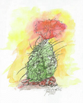 The Art of Gene Irvin - 5x7 Art Cards
