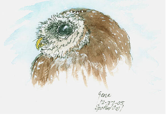The Art of Gene Irvin - 5x7 Art Cards