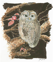 The Art of Gene Irvin - Art Prints