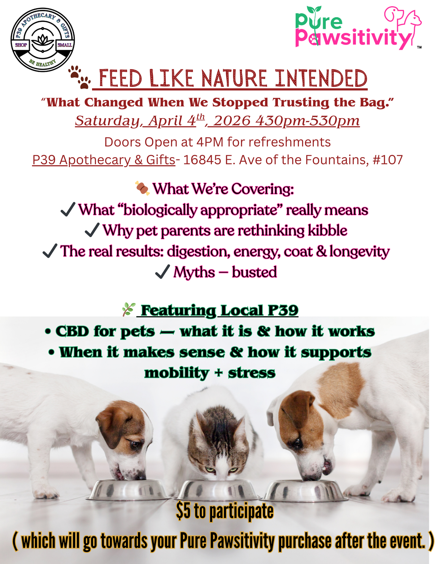 Workshop - Pure Pawsitivity Informative Lecture