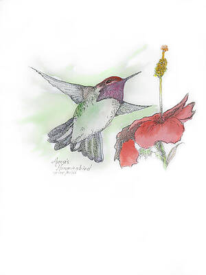 The Art of Gene Irvin - 5x7 Art Cards