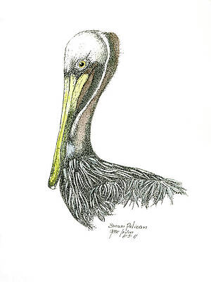 The Art of Gene Irvin - Art Prints