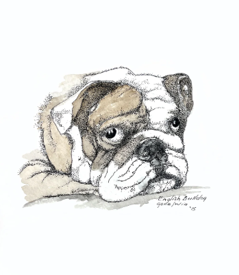 The Art of Gene Irvin - Art Prints