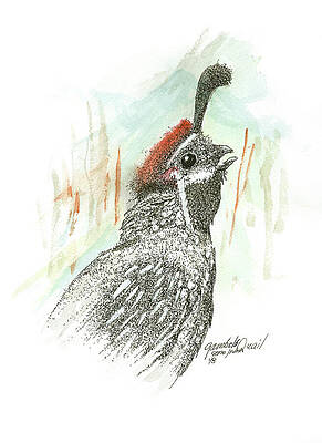 The Art of Gene Irvin - 5x7 Art Cards