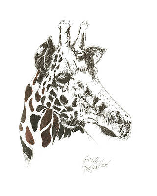 The Art of Gene Irvin - 5x7 Art Cards