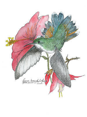The Art of Gene Irvin - 5x7 Art Cards